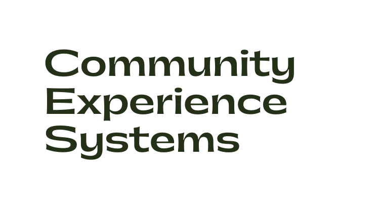 Community Experience Systems